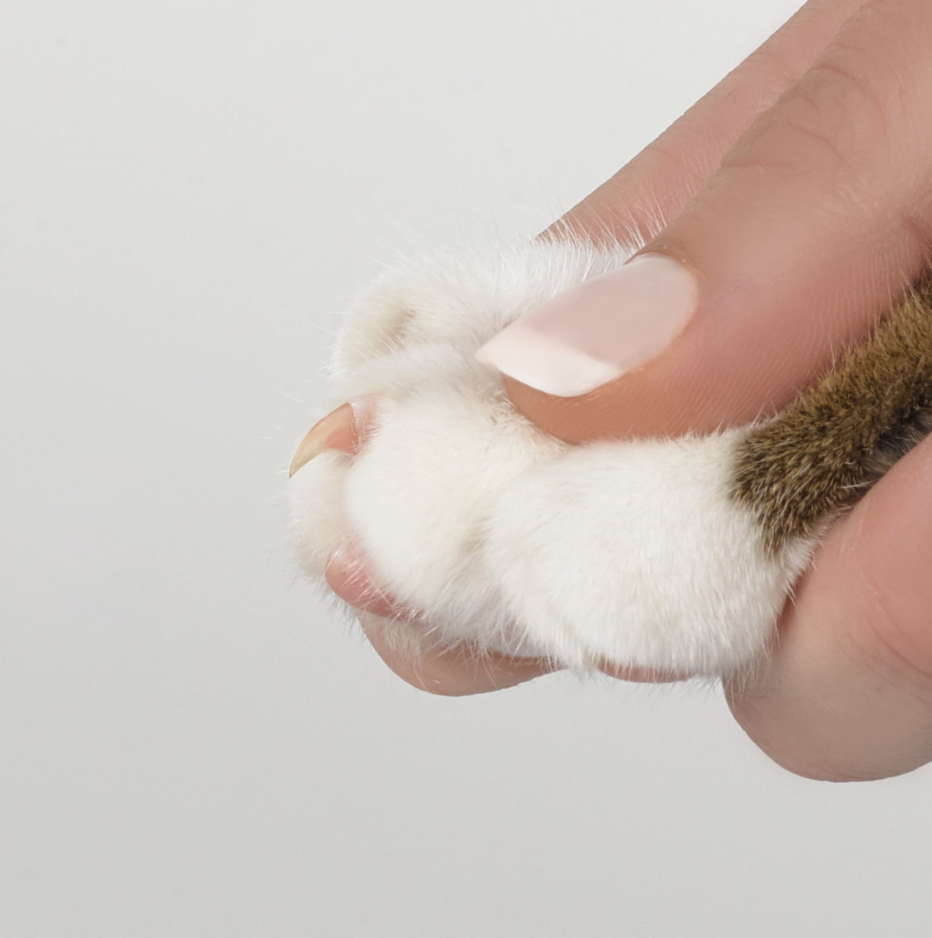 (2 pack) Oster Premium Pet Nail Trimmer and Grinder for Cats & Dogs