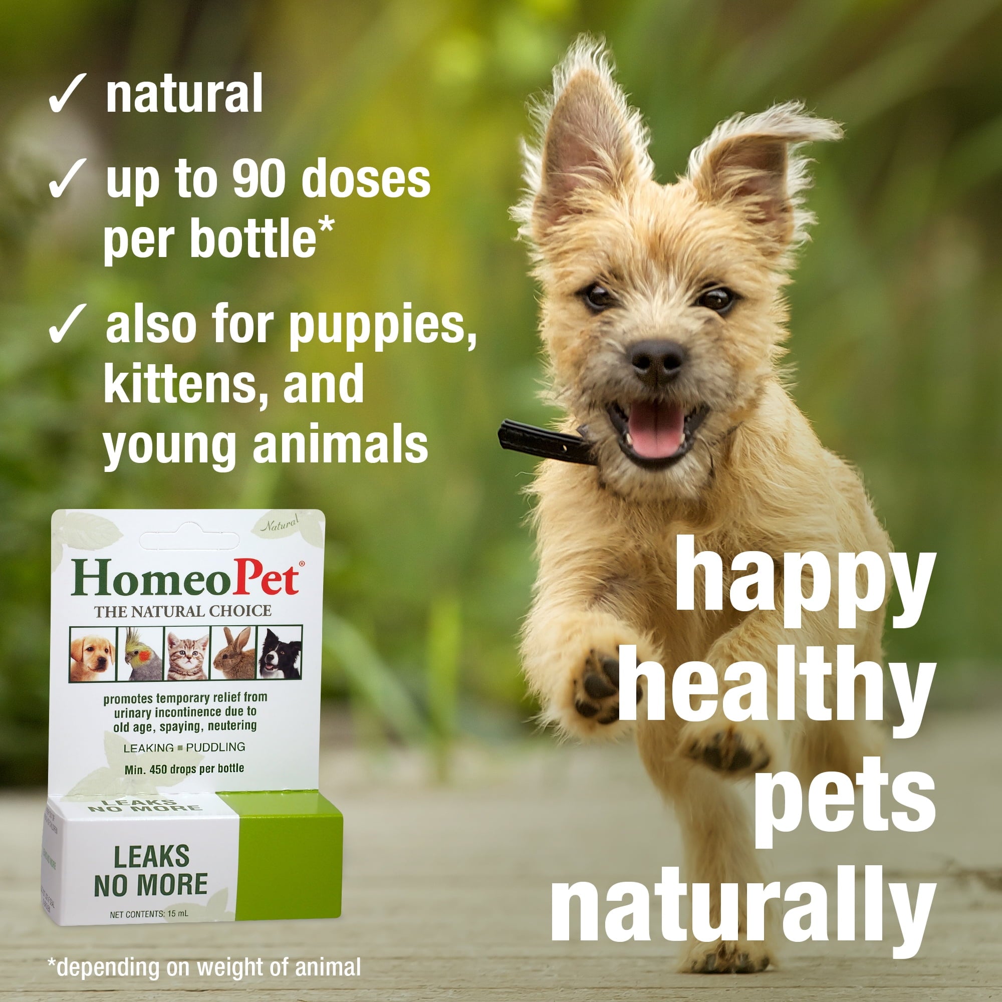 HomeoPet Leaks No More Urinary Health Supplement Solution for Pets, 15-Milliliter Bottle