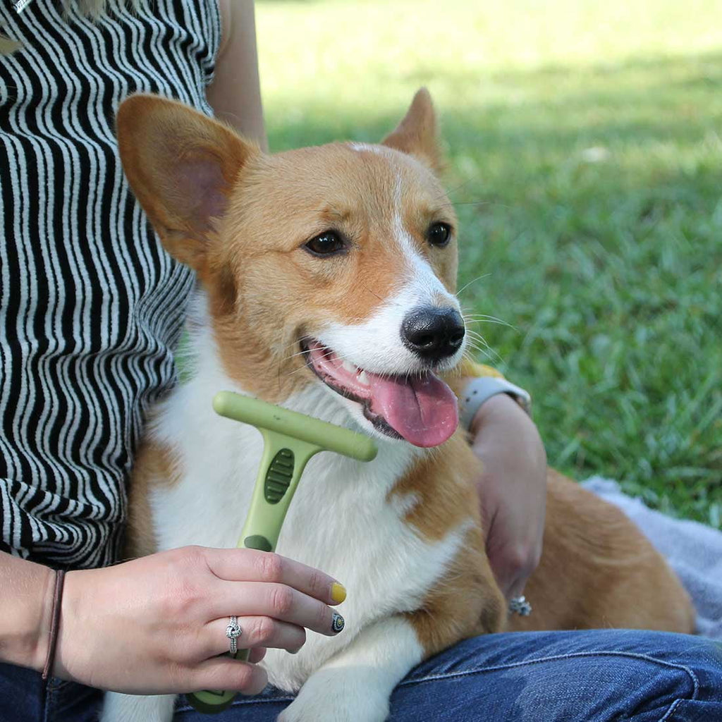 Coastal - Safari - Dog Undercoat Rakes, Double Row, Small - Single Row (6.25" L x 3.5" W)