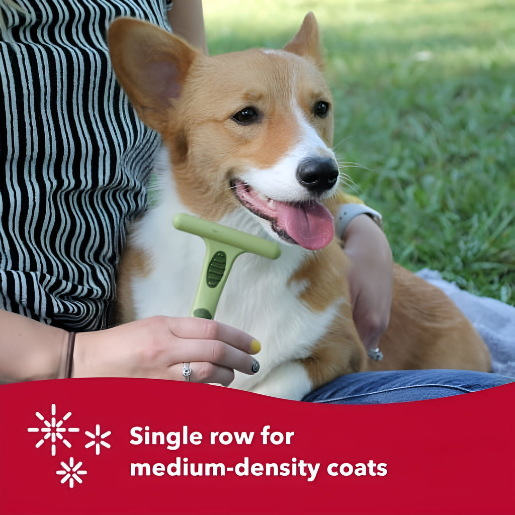 Coastal Pet Safari Dog Single Row Undercoat Rake - Undercoat Brush for Dogs with Medium and Long Hair - Dog Detangler Comb and Dematting Brush - Single Row