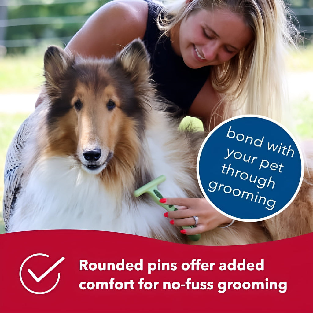 Coastal Pet Safari Dog Single Row Undercoat Rake - Undercoat Brush for Dogs with Medium and Long Hair - Dog Detangler Comb and Dematting Brush - Single Row