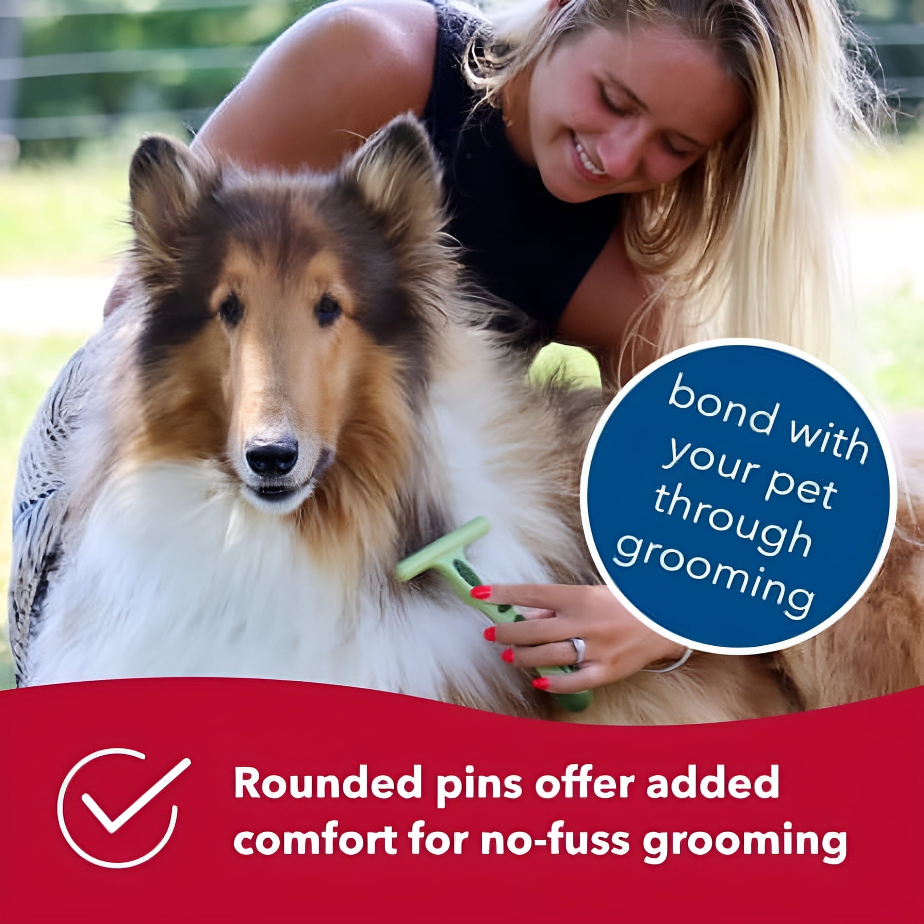 Coastal Pet Safari Dog Single Row Undercoat Rake - Undercoat Brush for Dogs with Medium and Long Hair - Dog Detangler Comb and Dematting Brush - Single Row