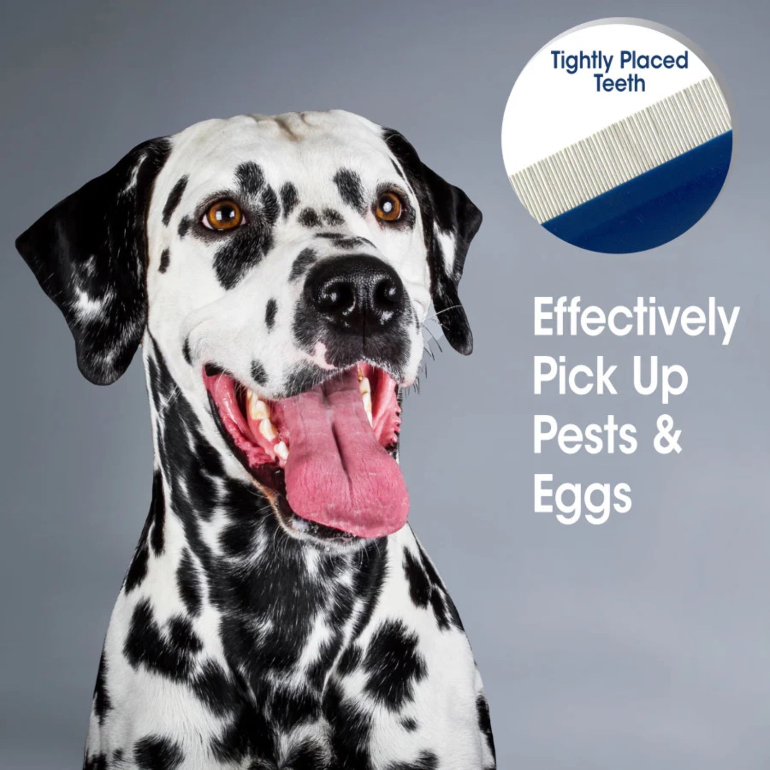 Magic Coat Flea Catcher Comb