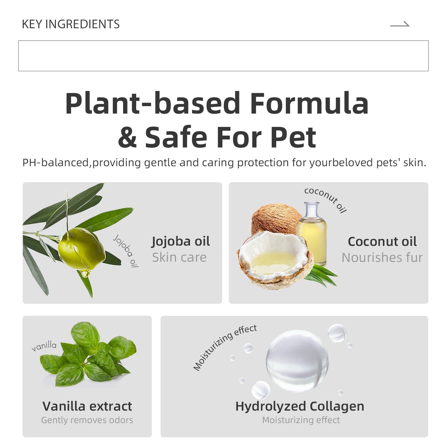 All For Paws Natural Pet Wipes for Dogs & Cats, 4 x 100cts, Coconut Vanilla Scent- Deodorizing Dog Grooming Wipes, Large Cat Cleaning Wipes