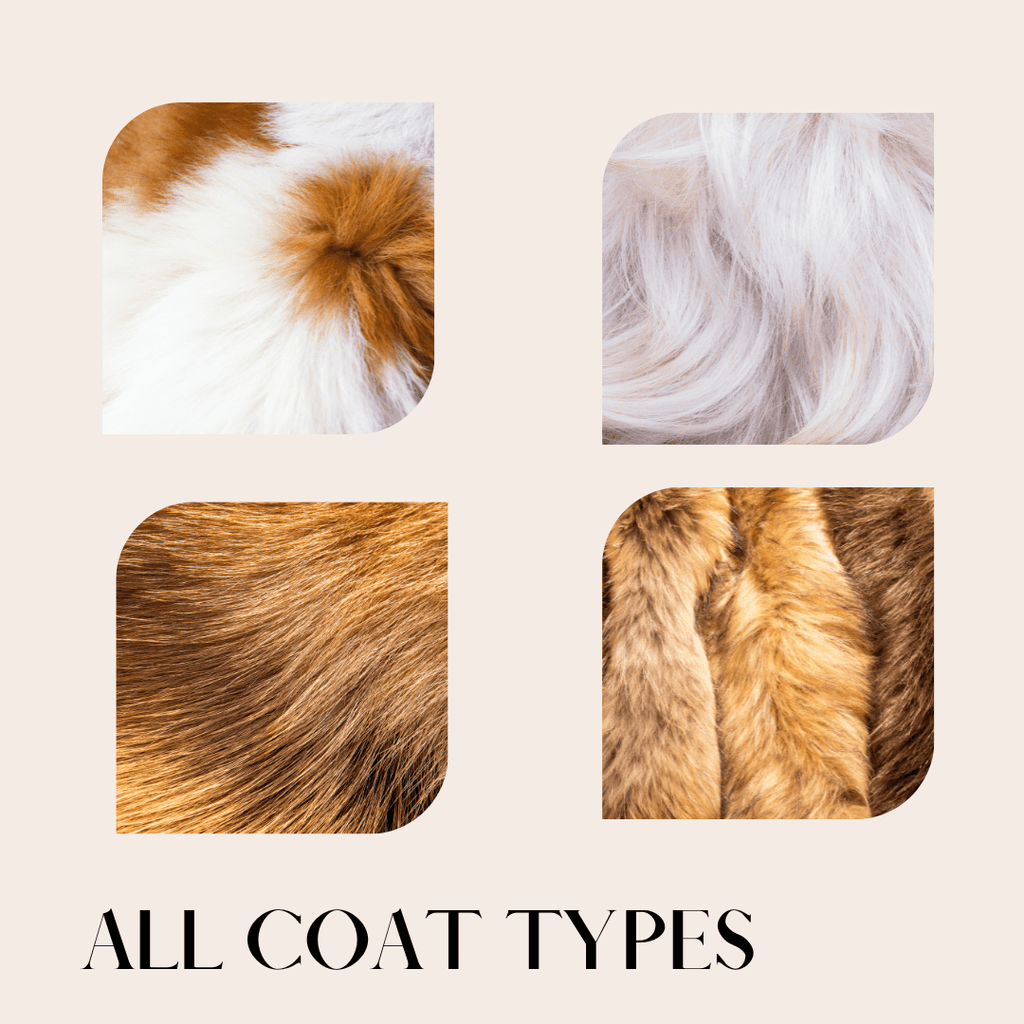 11 piece deluxe pet clipper grooming kit