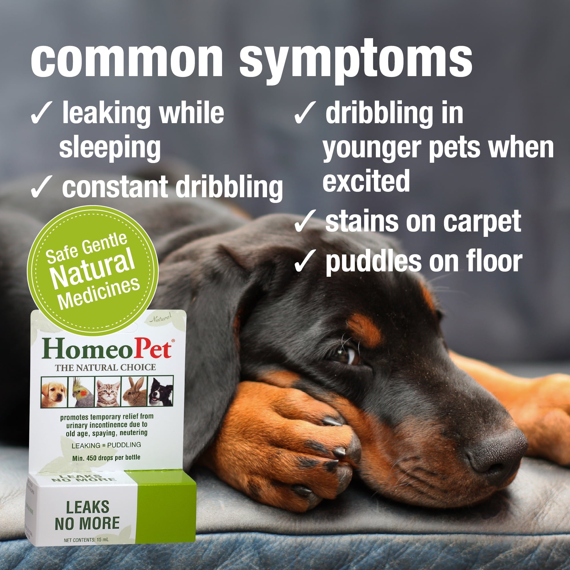 HomeoPet Leaks No More Urinary Health Supplement Solution for Pets, 15-Milliliter Bottle