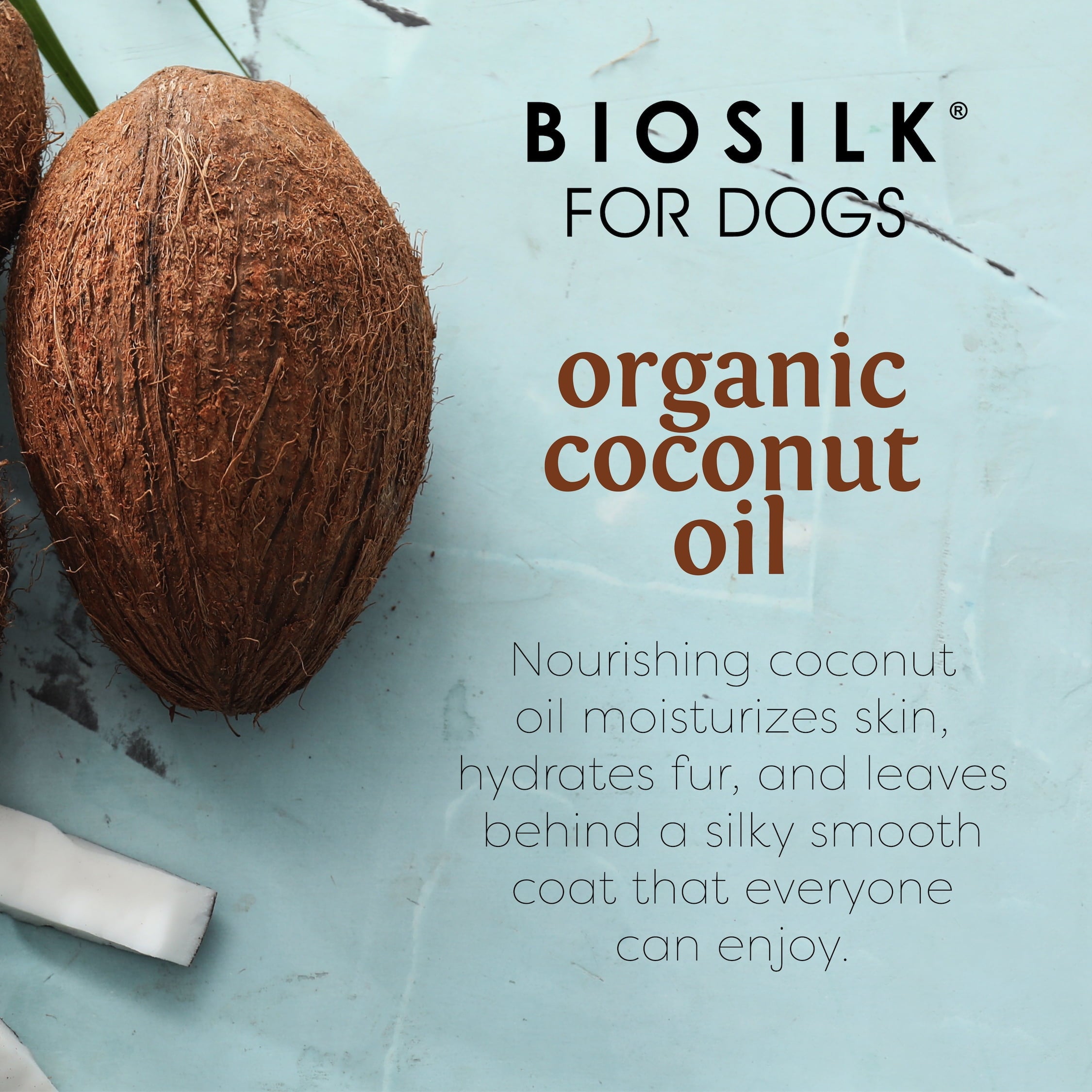 Biosilk Dogs Silk Therapy Shampoo Organic Coconut Oil Sulfate and Paraben Free 12 oz.