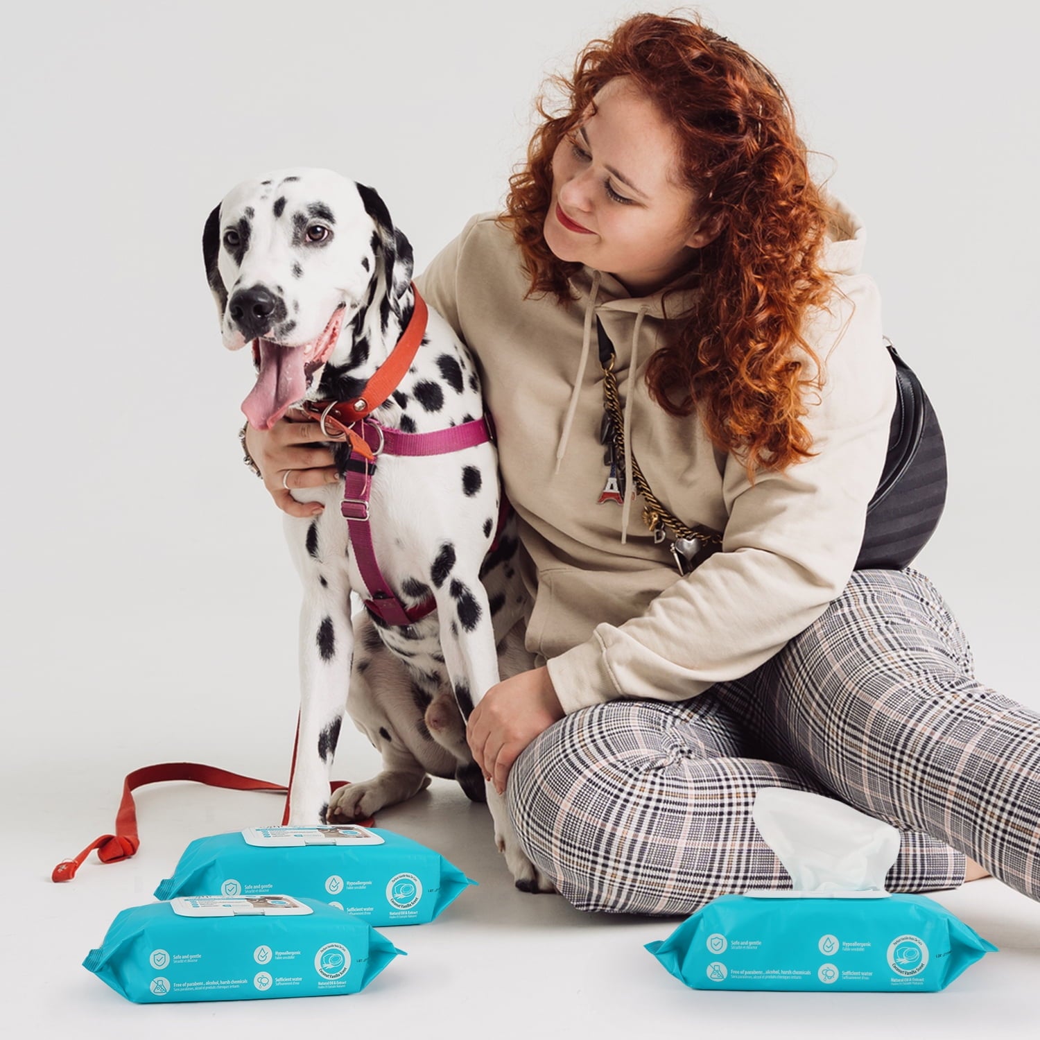 All For Paws Natural Pet Wipes for Dogs & Cats, 4 x 100cts, Coconut Vanilla Scent- Deodorizing Dog Grooming Wipes, Large Cat Cleaning Wipes