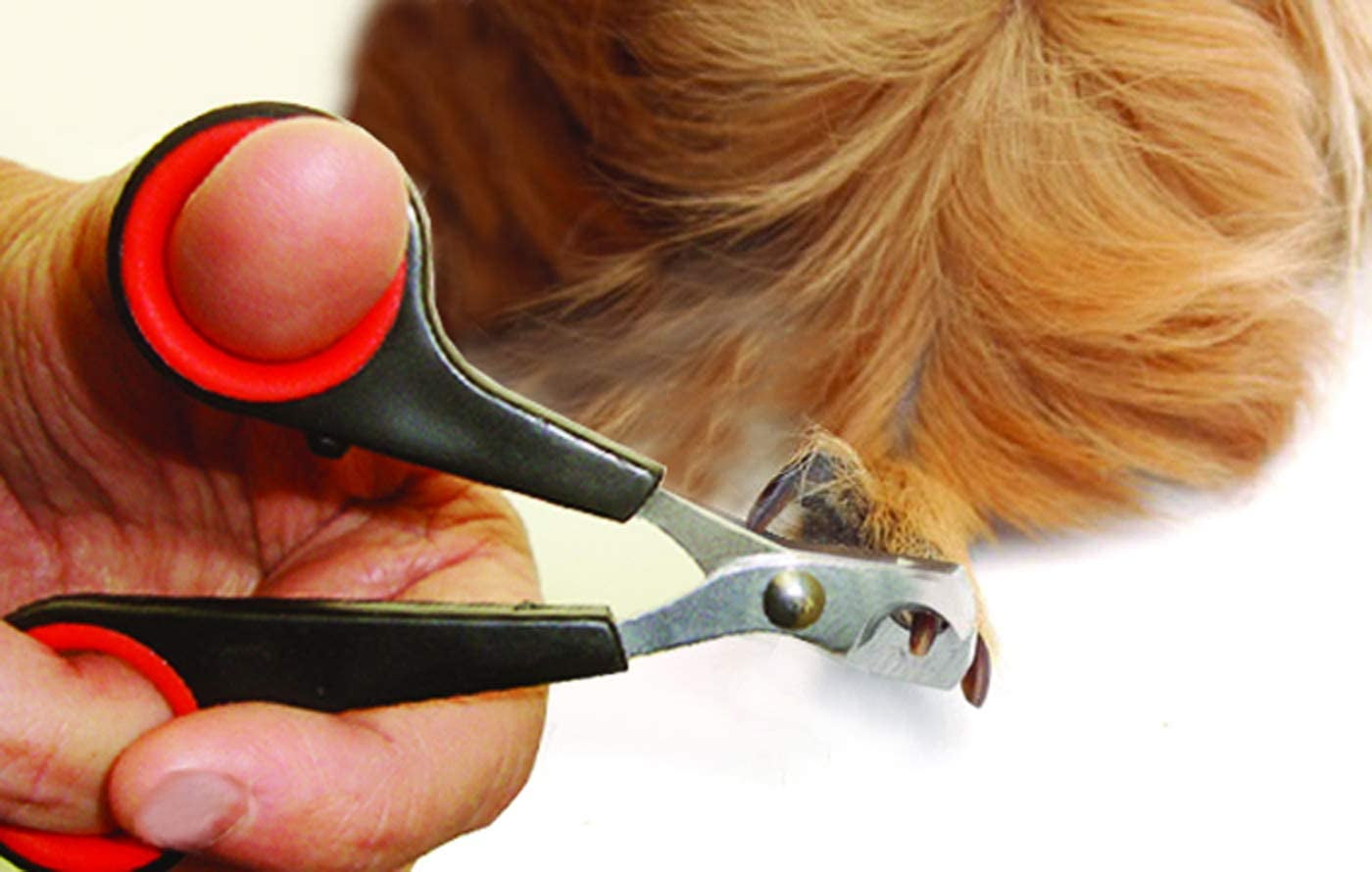 Happy Home Pet Products Bush and Nail Trimmer Grooming Set for Rabbits, Guinea Pigs and other Small Animals.