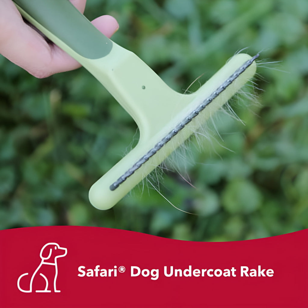 Coastal Pet Safari Dog Single Row Undercoat Rake - Undercoat Brush for Dogs with Medium and Long Hair - Dog Detangler Comb and Dematting Brush - Single Row