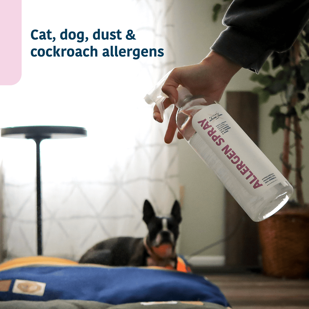 Allergy Asthma Clean Allergen Spray for Home, Dust, and Pet Dander, Unscented, 33.8 oz Bottle